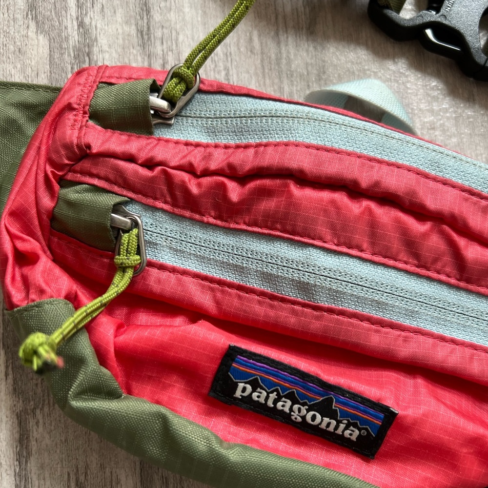 Patagonia Ultralight Mini Hip Pack 1L NWOT